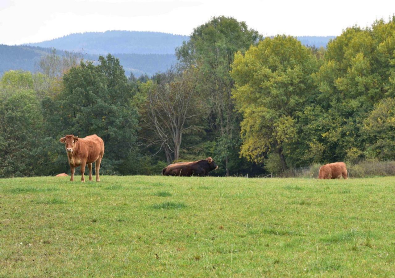 Ferienhaus Vulkaneifel Kopp Екстериор снимка